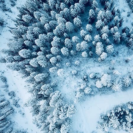 کارمند سومی