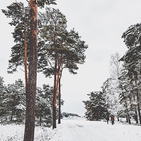 کارمند چهارمی